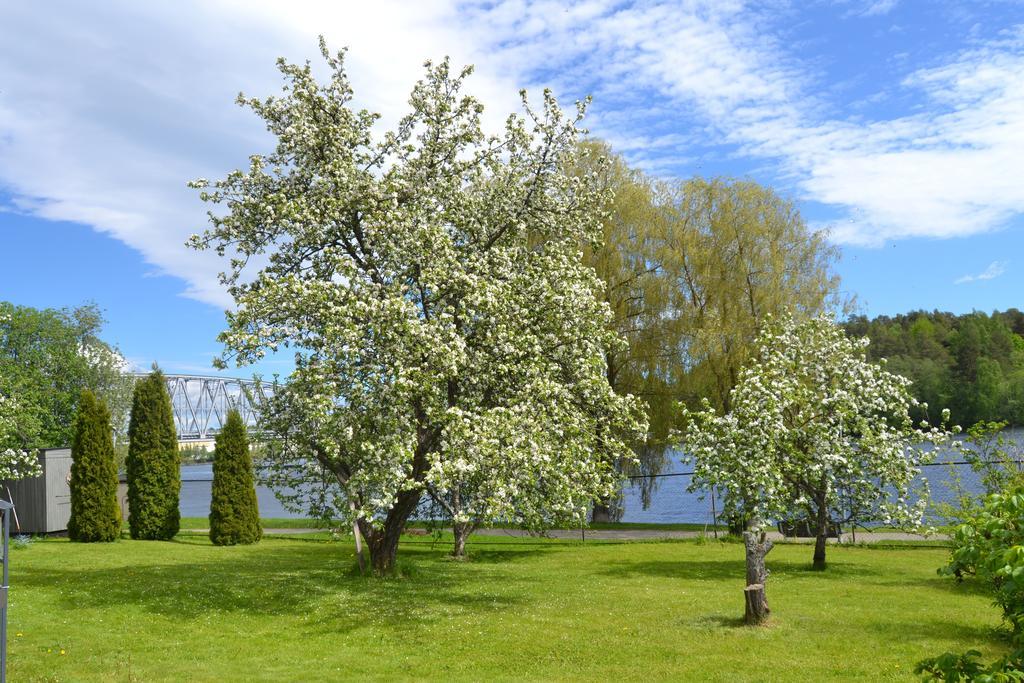 Lossiranta Lodge Savonlinna Buitenkant foto